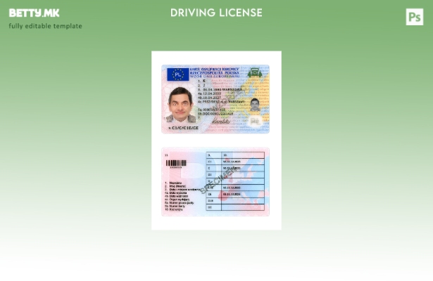 Модерен стил Полска возачка дозвола присутен шаблон